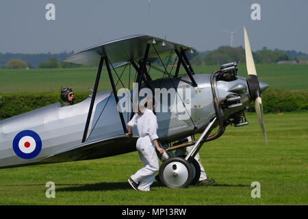 Hawker-Meise Stockfoto