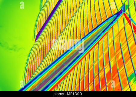 Detail (in PS, Pop Art Stil), Il Dritto (Allianz Turm), Teil der CityLife Komplex, von Arata Isozaki und Andrea Maffei, Mailand, Italien Stockfoto