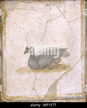Englisch: Fresko eines Vogels. Français: Fresque d'un Oiseau. Italiano: Fresco di un Uccello. . Englisch: Von der Villa di Arianna, Stabiae. Français: De La Villa d'Arianna, Stabiae. Italiano: Dalla Villa di Arianna, Stabiae. 1211 Uccello, affresco Romano di Villa d'Arianna, Stabiae (Museo Archeologico Nazionale di Napoli) - 01. Stockfoto