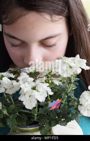 Junge Teen Girl riechen einen Topf mit weißen Blumen Eisenkraut. Stockfoto