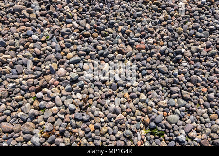 Kieselsteine am Strand, helliwell Provincial Park, Hornby Island, BC, Kanada. Stockfoto