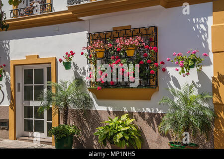 Weißes Dorf Gehäuse in Spanien Stockfoto