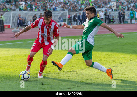 20. Mai 2018. Lissabon, Portugal. Desportivo das AvesÕs Mittelfeldspieler aus Portugal Vitor Gomes (30) und SportingÕs vorwärts aus Argentinien Marcos Acuna (9) in Aktion während des Spiels der Portugiesischen Cup Finale, zwischen das desportivo Aves vs Sporting CP © Alexandre de Sousa/Alamy leben Nachrichten Stockfoto