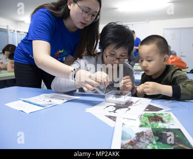 (180521) - Peking, 21. Mai 2018 (Xinhua) - ein Kind macht Insekt Exemplare mit seinem Elternteil in einem wissenschaftlichen Karneval in Peking, der Hauptstadt von China, 20. Mai 2018. Viele Eltern nahmen ihre Kinder an Wissenschaft und Technik Aktivitäten während der nationalen Wissenschafts- und Technologiewoche 2018, das am 19. Mai. (Xinhua / Jin Liwang) (ly) Stockfoto