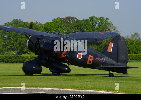 Westland Lysander III V9367, G-AZWT, Shuttleworth Collection, Biggleswade, Bedfordshire, Stockfoto