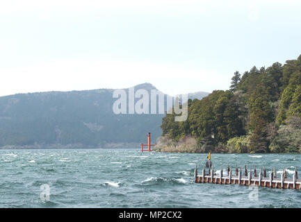 Auf dem See Ashi mit Blick auf das Torii in Yokosuka, Japan Stockfoto