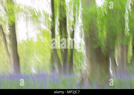 Abstraktes Bild eines Bluebell wood Stockfoto