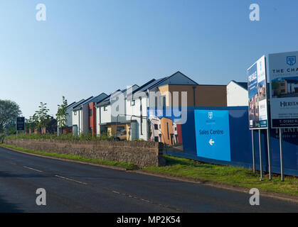 Neue Eco-Häuser für Verkauf, Devon, Großbritannien Stockfoto