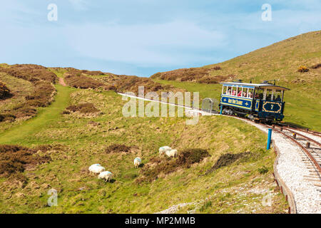 Great Orme Tramway, Großbritanniens nur Kabel, die öffentliche Straße Straßenbahn absteigend Great Orme Country Park & Nature Reserve, Llandudno, North Wales, UK. Stockfoto