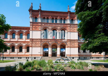 Italien, Lombardei, Mailand, Museo Civico di Storia Naturale, Civic Museum Geschichte Stockfoto