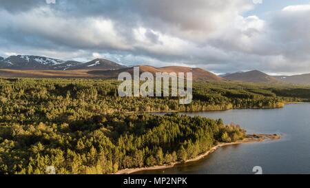 Fliegen um und über Loch Morlich in die Cairngorm National Park in der Nähe der beliebten Stadt Aviemore Stockfoto