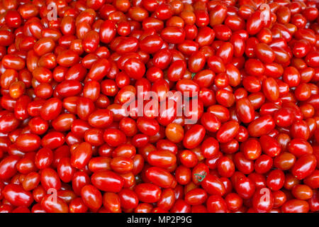 Full Frame leuchtend rote Miniatur plum Tomaten auf Abschaltdruck am Borough Market, London, UK Stockfoto