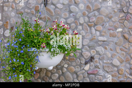 Blumenampel mit Sommerblumen gegen die Mauer aus Stein. Stockfoto