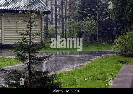 Landschaft auf einem laufenden Regen neben einem Weihnachtsbaum auf eine Hütte Hintergrund. Stockfoto