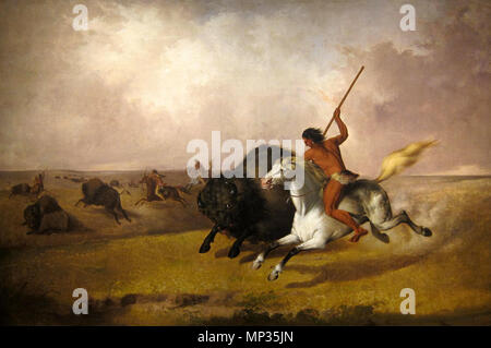 Büffel Jagd auf der südwestlichen Plains 1845. 1141 Buffalo Hunt auf der südwestlichen Prärie Stockfoto