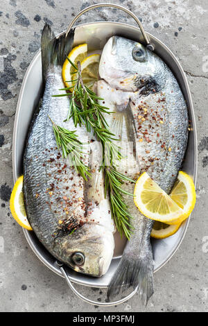 Frischer Fisch Dorado. Raw dorado Fisch mit Zitrone und Rosmarin. Dorade oder dorada Fisch Stockfoto