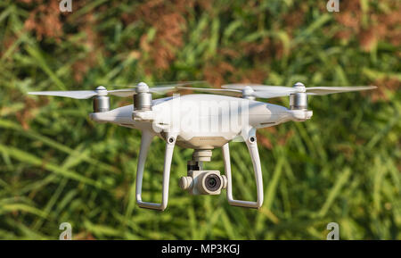 Eine DJI-Phantom 4 Pro Drohne fliegen, unscharfe Reed im Hintergrund, selektiver Fokus auf der Vorderseite der Drohne. Stockfoto
