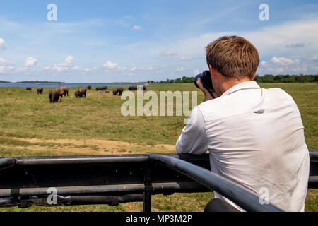 Kaukasische Mann im weißen Hemd, Fotos von Elefanten Herde während der Safari im Nationalpark von Sri Lanka Stockfoto