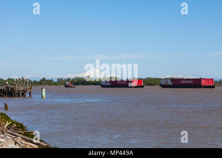 Schlepper abschleppen zwei große Lastkähne bis den Fraser River mit Mount Baker im Hintergrund Stockfoto