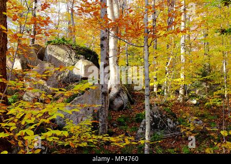 Hart die Schönheit der Neu-England Herbst Landschaft zu schlagen. Stockfoto