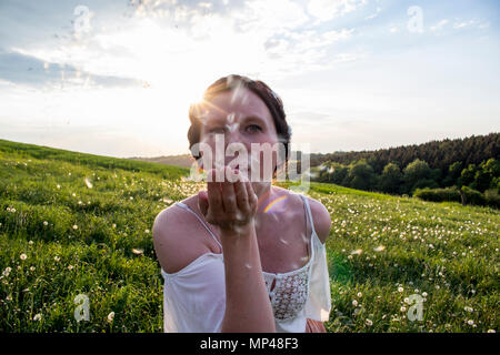 Löwenzahn Feld mit attraktiven jungen Frau Stockfoto