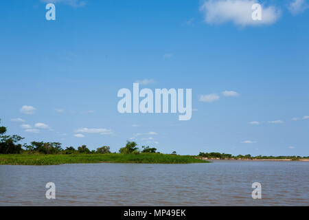 Panorama vom Pantanal, brasilianische Feuchtgebiet Region. Schiffbaren Lagune. Südamerika-Wahrzeichen Stockfoto
