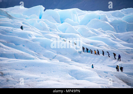 Touren Wandern auf den Gletscher Perito Moreno, Parque Nacional Los Glaciares, Argentinien Stockfoto