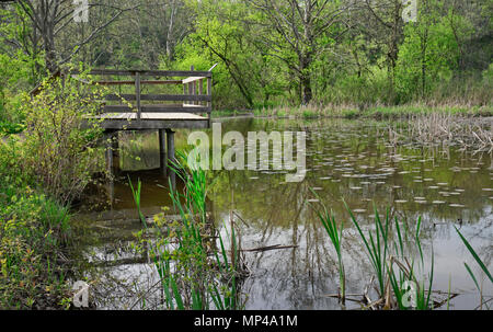 Wildlife Viewing lookout Deck in Sümpfen in den Königlichen Botanischen Gärten, Burlington, Ontario, Kanada Stockfoto