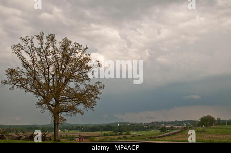 Eine Eiche in einem Feld auf dem Schlachtfeld von Gettysburg unter stürmischen Himmel im Frühjahr in Pennsylvania Stockfoto