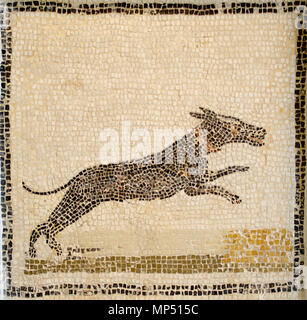 907 Mosaique de chien Au musée de Sousse, Juin 2013 Stockfoto