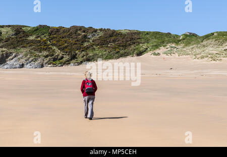 Dame, die über breite Haven (Süd) Strand auf der Pembrokeshire Coast National Park, West Wales Stockfoto