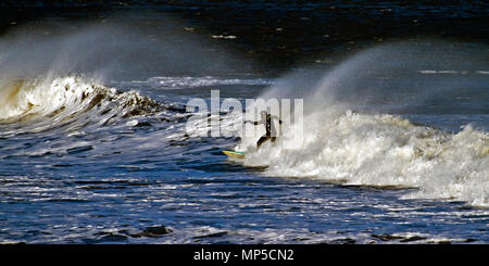 Ein einsamer Surfer reitet einen ankommenden Welle in der North Bay in Scarborough. Stockfoto