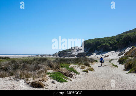 Eine lokale Surfer Spaziergänge am Strand von Noordhoek in Richtung Wasser an einem sonnigen Herbsttag, Südafrika Stockfoto