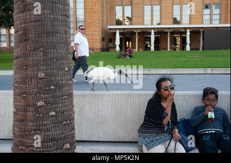 09.05.2018, Sydney, New South Wales, Australien - Touristen sitzen im Sydney Hafen in der Nähe des Circular Quay und im Sydney Opera House. Stockfoto