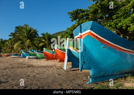 Traditionelle hölzerne Kanus aus Ilhabela, Brasilien Stockfoto