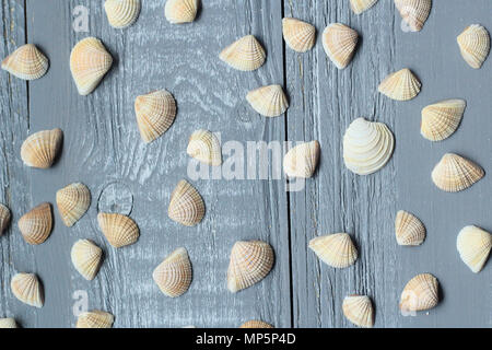 Viele kleine Muscheln auf hellen Hintergrund Stockfoto