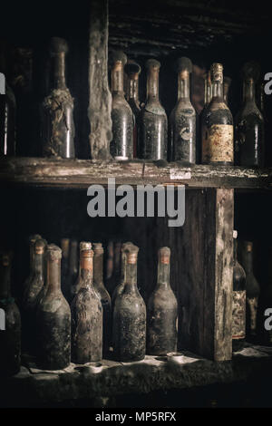 Alte Flaschen Wein mit berühmten schwarzen Schimmel in einem Weinkeller Stockfoto