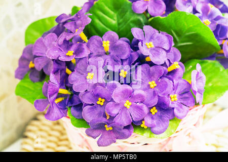 Schönen Blumenstrauß von künstlichen lila Veilchen Stockfoto