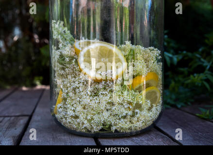 Elder Blumen und frischen Zitronenscheiben für Sirup im Becher. Stockfoto