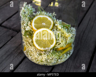 Elder Blumen und frischen Zitronenscheiben für Sirup im Becher. Stockfoto