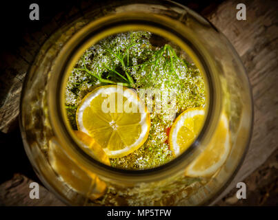 Elder Blumen und frischen Zitronenscheiben für Sirup im Becher. Stockfoto