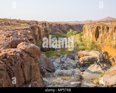 Rocky Canyon mit grünen Büschen und Bäumen in Palmwag Konzessionsgebiet, Namibia, Südafrika Stockfoto