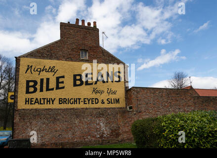 Bile Beans-Werbung auf der Seite eines Gebäudes in York, North Yorkshire, England, Großbritannien. Stockfoto