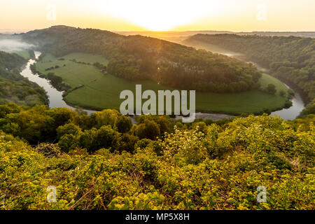 Symonds Yat Rock im Morgengrauen. Wald von Dean. Gloucestershire. Stockfoto