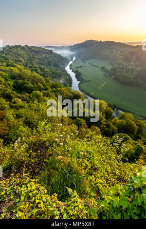 Symonds Yat Rock im Morgengrauen. Wald von Dean. Gloucestershire. Stockfoto