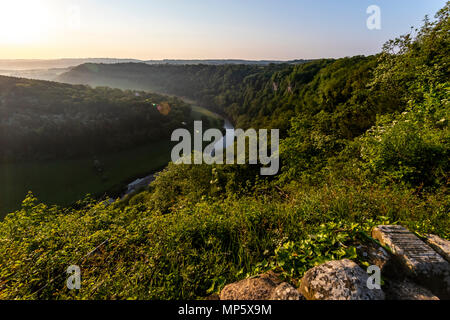 Symonds Yat Rock im Morgengrauen. Wald von Dean. Gloucestershire. Stockfoto