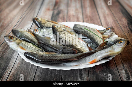 Frischer Fisch ist im Fluss gefangen und an eine Tabelle in eine Platte für die weitere Vorbereitung. Stockfoto