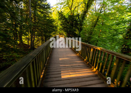 Symonds Yat Rock im Morgengrauen. Wald von Dean. Gloucestershire. Stockfoto