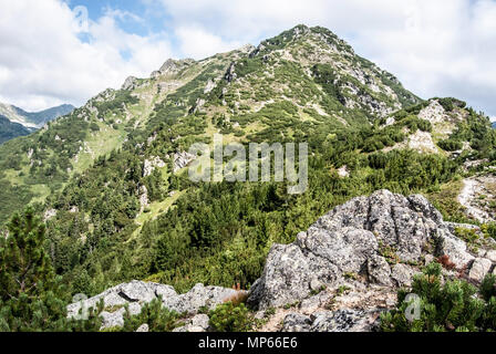 Teilweise felsigen Nizna Magura Peak von nizny Bocian Peak auf Otrhance Bergrücken in der Westlichen Tatra in der Slowakei während der schönen sommerlichen Tag Stockfoto