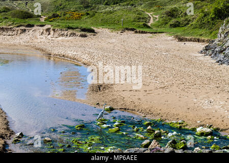 Die Oberseite der breiten Haven Beach in der Nähe von bosherston Lilienteichen, South Pembrokeshire - und ein Reiher auch. Stockfoto